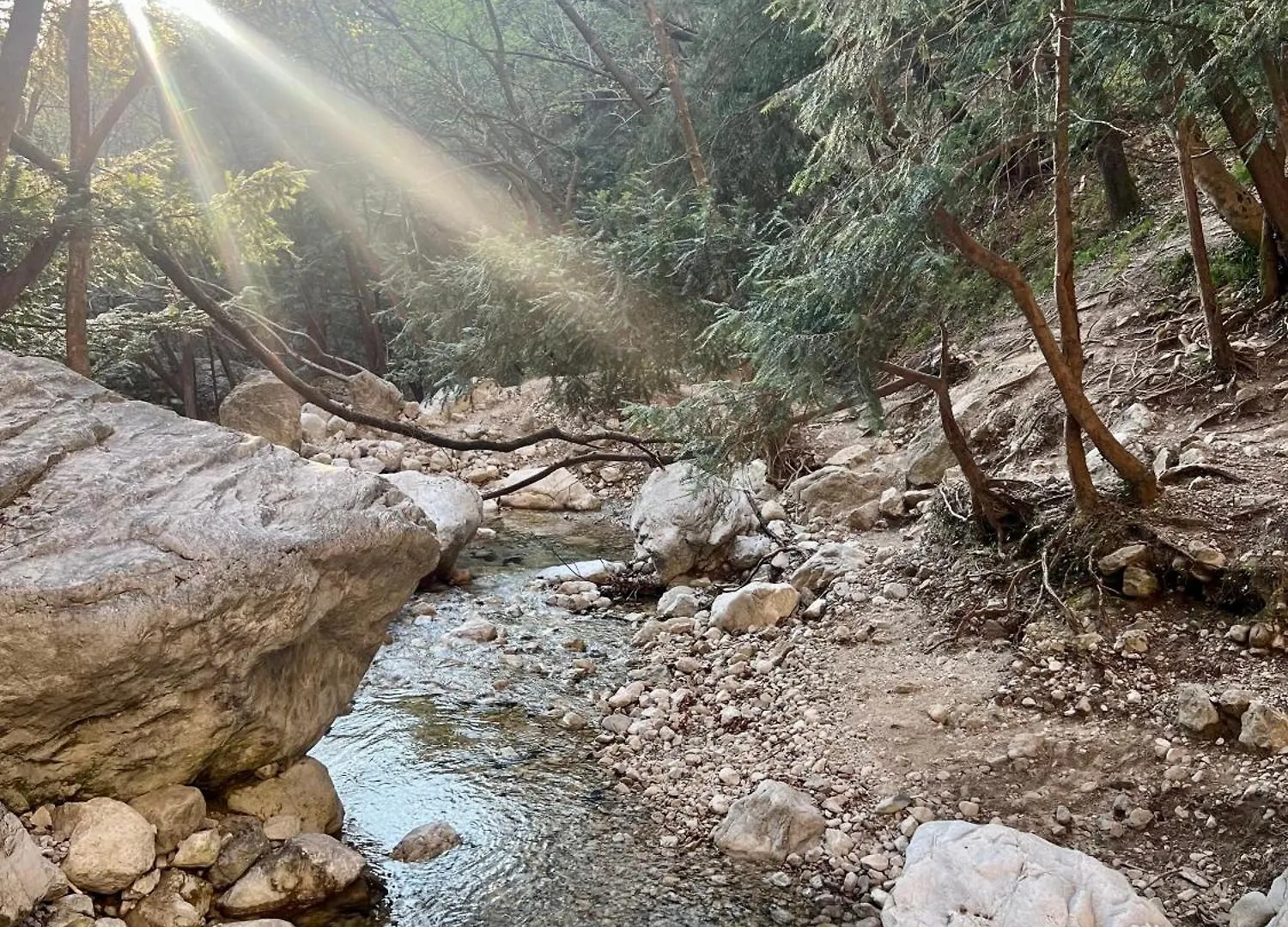 Junglehouse Appartement Abbadia Lariana